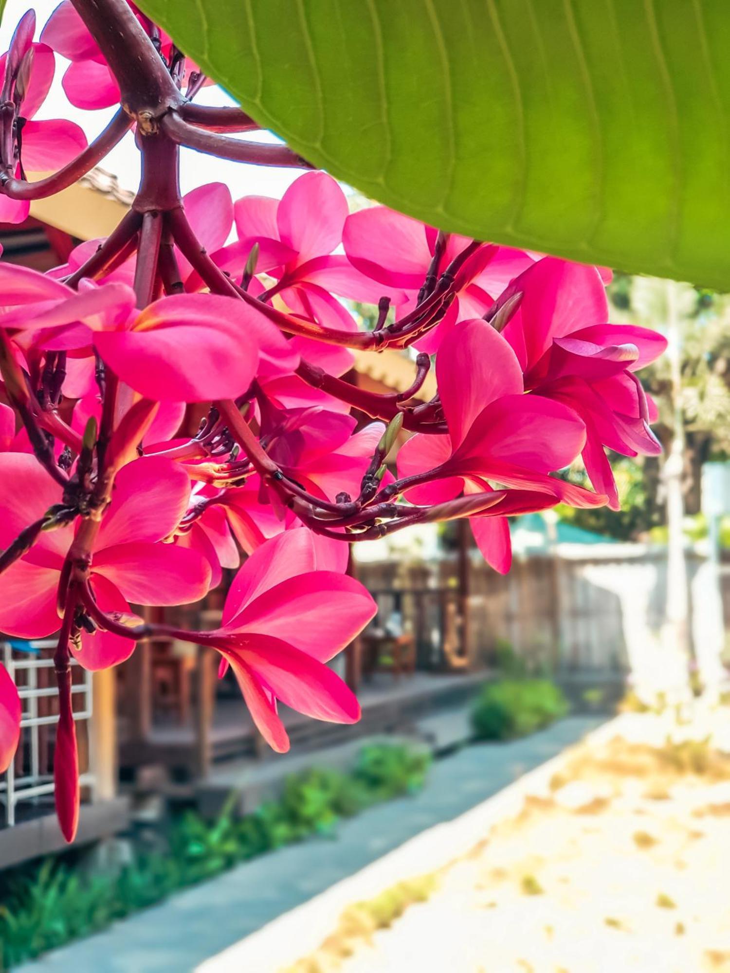 Leaf Coco Bungalow กิลิไอร์ ภายนอก รูปภาพ