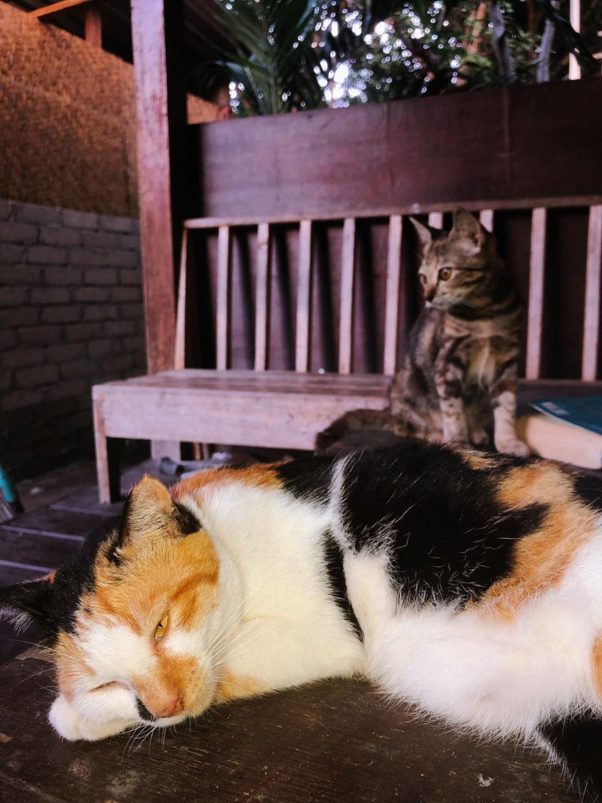 Leaf Coco Bungalow กิลิไอร์ ภายนอก รูปภาพ