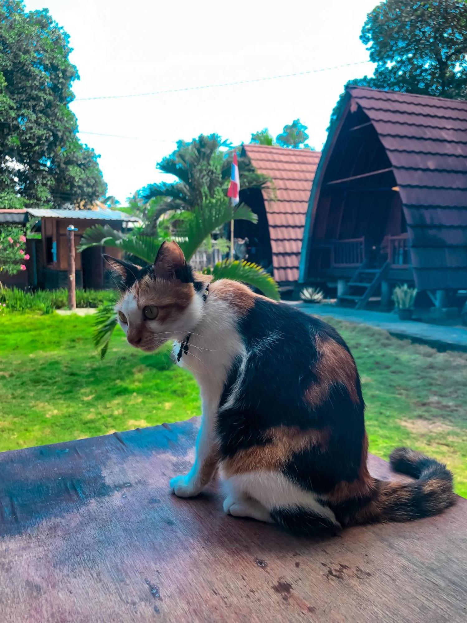 Leaf Coco Bungalow กิลิไอร์ ภายนอก รูปภาพ